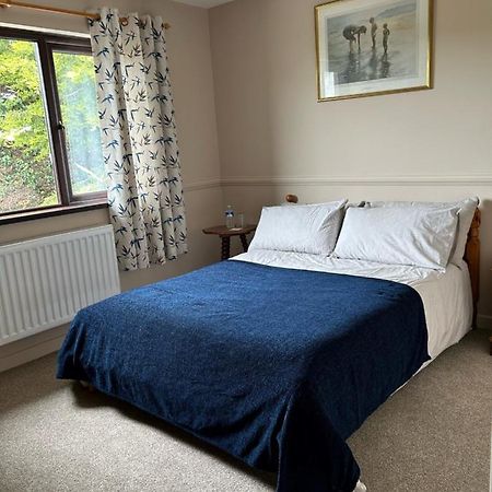 Long View Guest Accommodation Downpatrick Exteriör bild