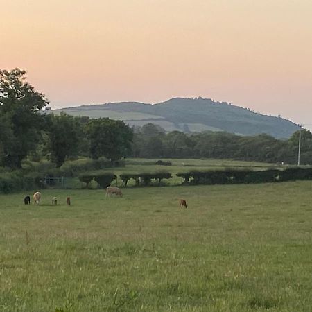 Long View Guest Accommodation Downpatrick Exteriör bild