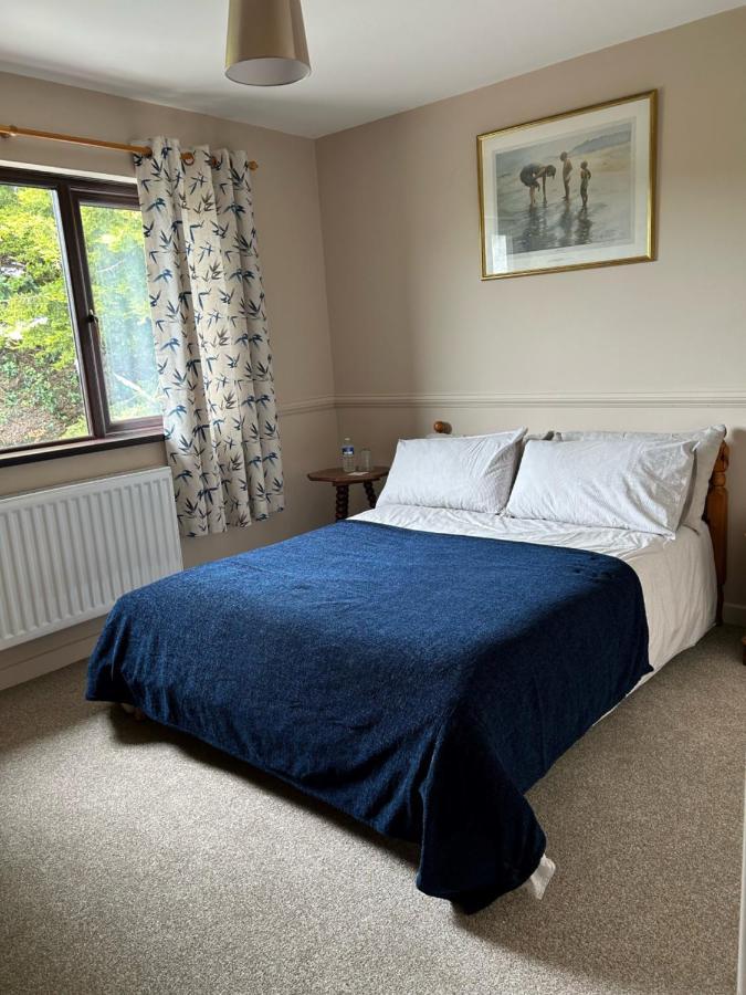 Long View Guest Accommodation Downpatrick Exteriör bild
