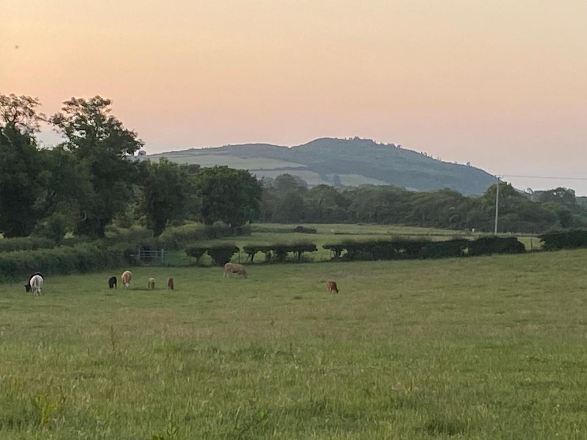 Long View Guest Accommodation Downpatrick Exteriör bild