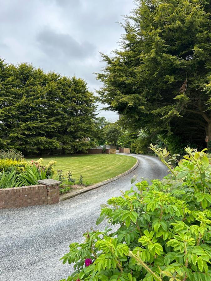 Long View Guest Accommodation Downpatrick Exteriör bild
